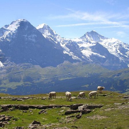Beim See Grindelwald Exterior photo