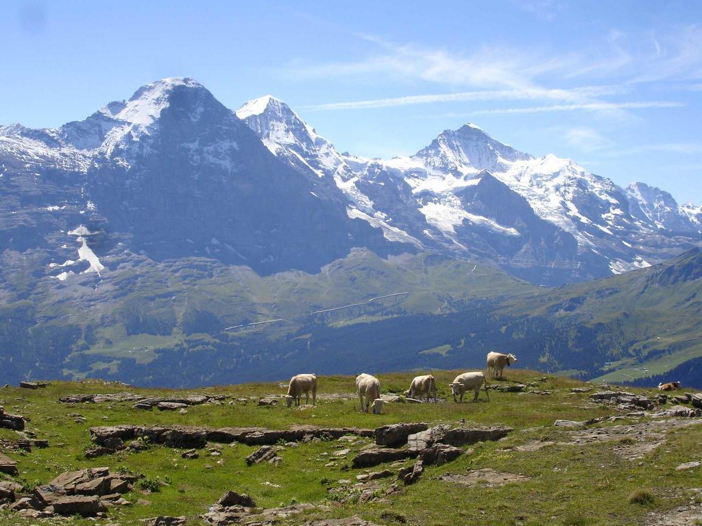 Beim See Grindelwald Exterior photo